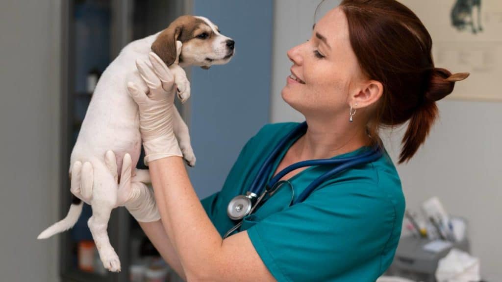 Auxiliar veterinária a segurar um cachorro numa clínica veterinária